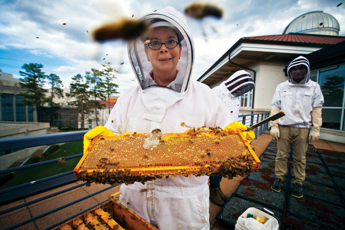 These Kansas City beekeepers are bringing hives of pollinators to