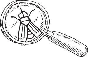 Graphic illustration of a magnifying glass with a fly under the glass.