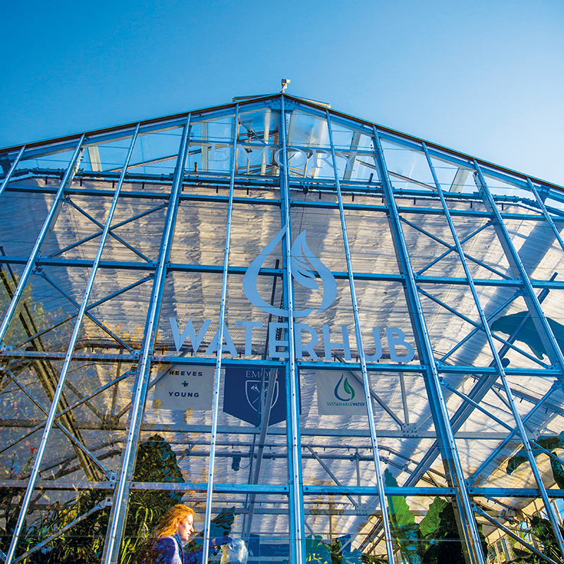The front of the Emory Waterhub looks like a glass and steel greenhouse.